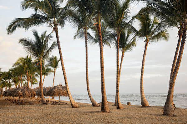 Excellence El Carmen (Adults Only) Hotel Punta Cana Exterior foto